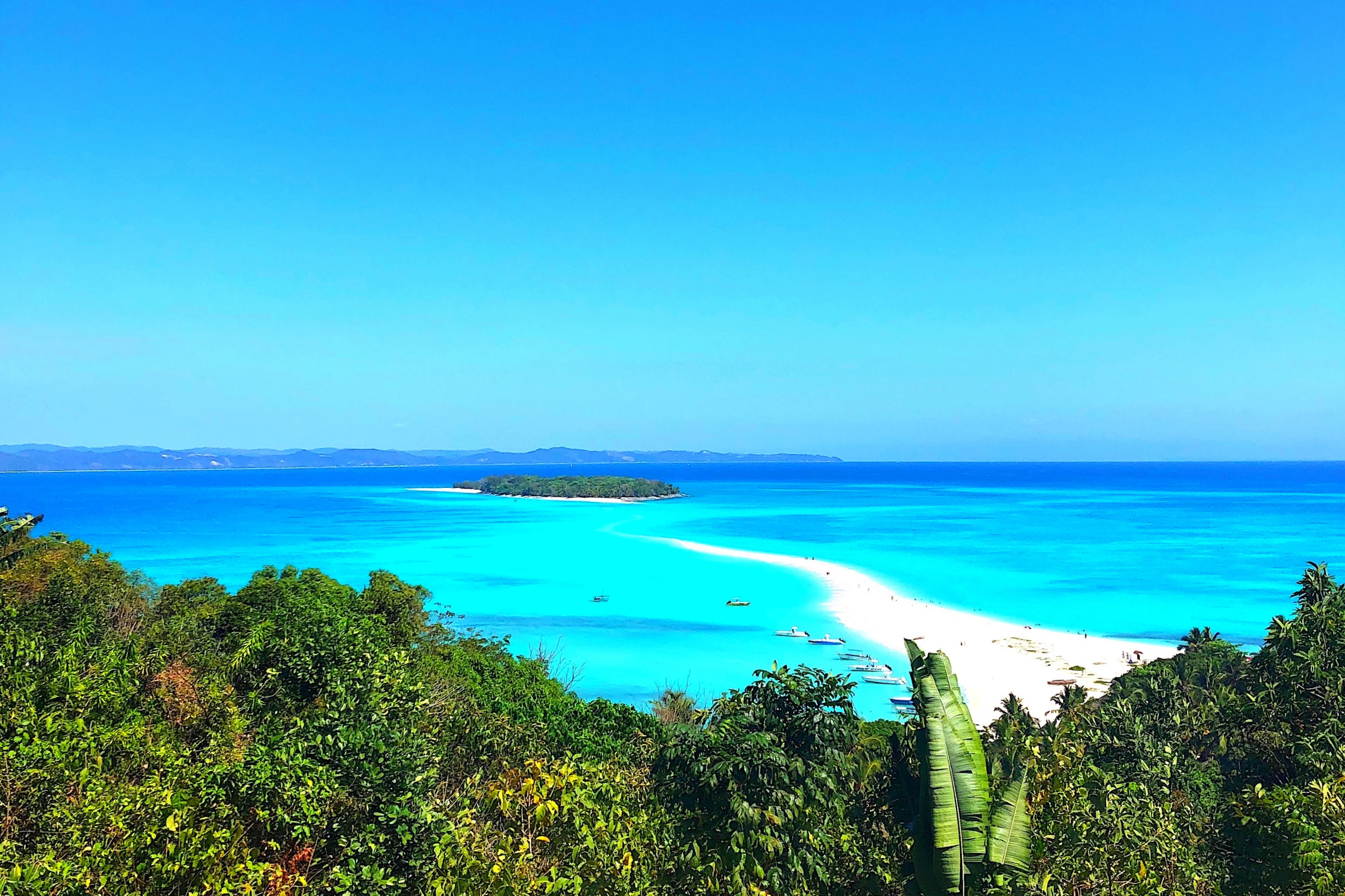 Nosy_Komba[1] (1).webp